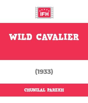 Wild Cavalier (1933) poster