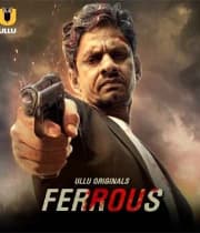 Ferrous