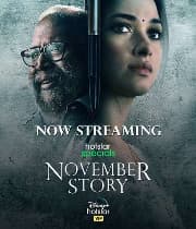 November Story