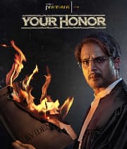 Your Honor Season 1