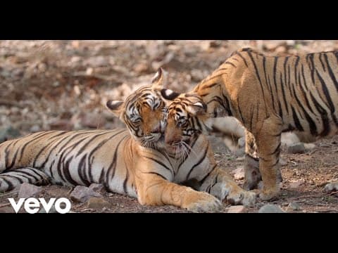 Watch video