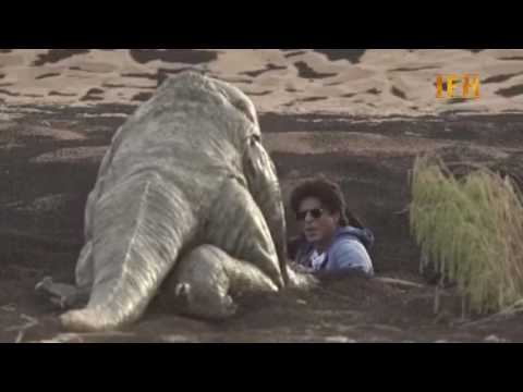 Watch ! When Shahrukh Khan Got ANGRY ? | Indian Film History