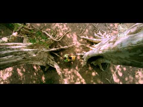 Watch video