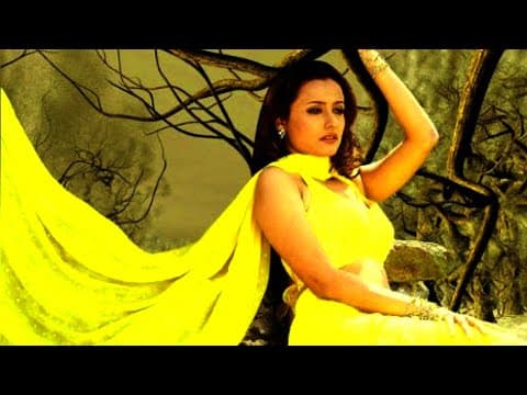 Happy Birthday | Successful Actress | Namrata Shirodkar
