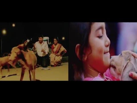 Watch video