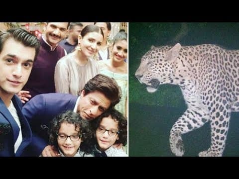 बाल-बाल बचे Shahrukh Khan And Anushka Sharma | IFH