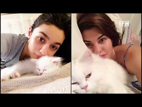 Cold War Between Jacqueline Fernandez Vs Alia Bhatt | IFH
