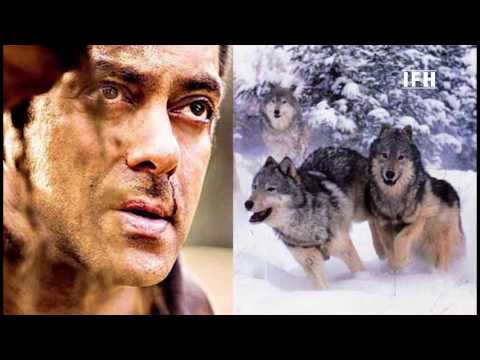 Tiger Zinda Hai Will Be Shot In Morocco | Salman Khan | Katrina Kaif