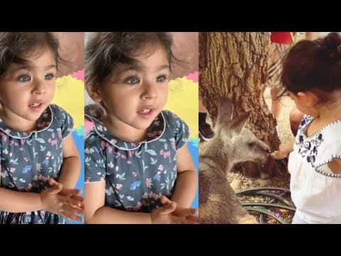 Inaya Khemu Fed The Animal With Her Hand | IFH