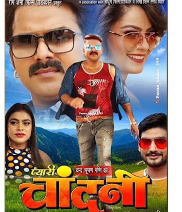 Pyari Chandani (2023) poster