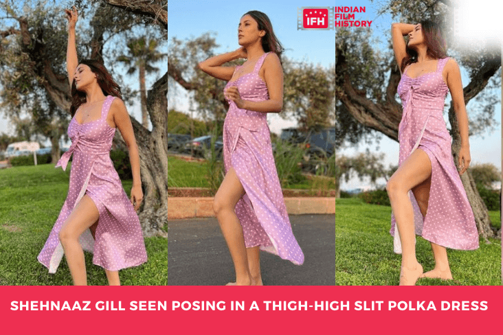 Shehnaaz Gill Seen Posing In A Thigh-high Slit Polka Dress