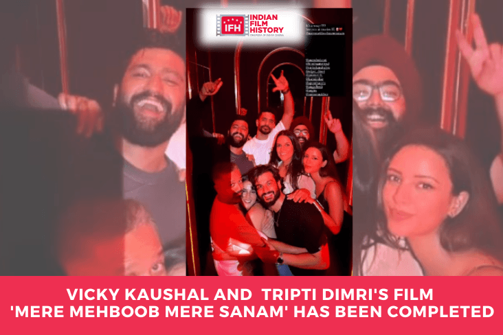 Vicky Kaushal And Tripti Dimri's Film 'Mere Mehboob Mere Sanam' Has Been Completed