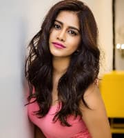 Nabha Natesh — Actress