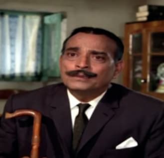 Raj Mehra — Supporting Actor