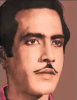 Robin Majumdar — Supporting Actor