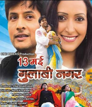 13 May Gulaabi Nagar (2010) poster