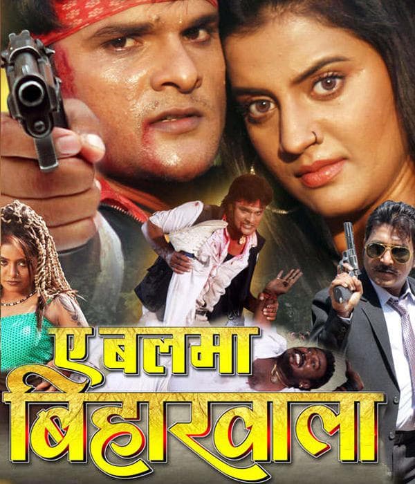 A Balma Biharwala (2013) poster