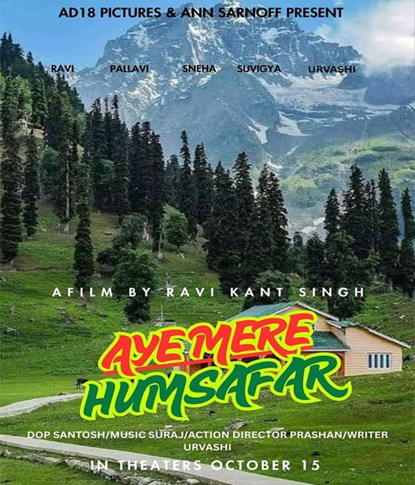Aye Mere Humsafar (2026) poster