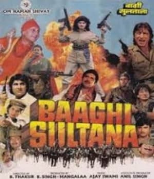 Baaghi Sultana (1993) poster