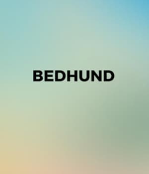 Bedhund (2009) poster