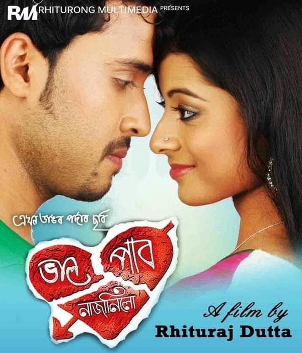 Bhal Pabo Najanilu (2013) poster