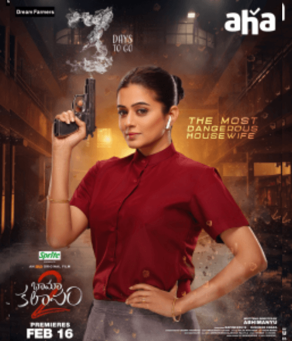 Bhamakalapam 2: Khiladi Housewife (2024) poster
