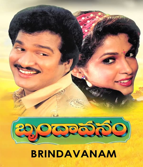 Brindavanam (1992) poster