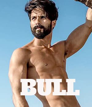 Bull (2026) poster