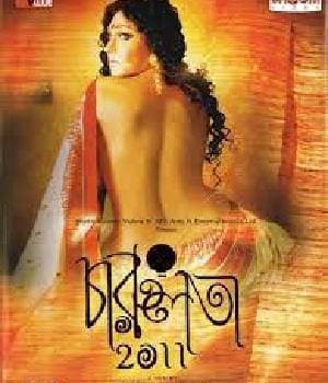 Charuulata 2011 (2012) poster