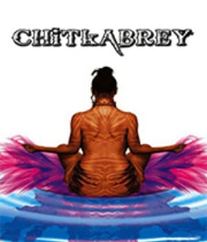 Chitkabrey – Shades of Grey (2011) poster
