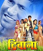 Deewana (2009) poster