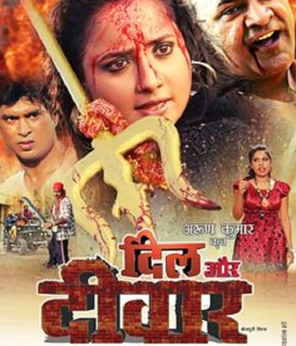 Dil Aur Deewar (2015) poster