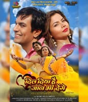 Dil Diya Hai Jaan Bhi Denge (2019) poster