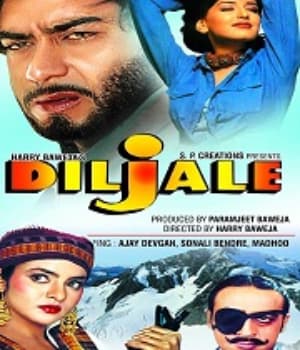 Diljale (1996) poster