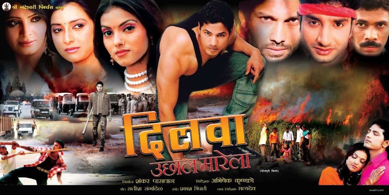 Dilwa Uchhal Marela (2013) poster