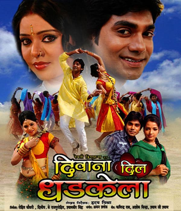 Diwana Dil Dhadkela (2013) poster