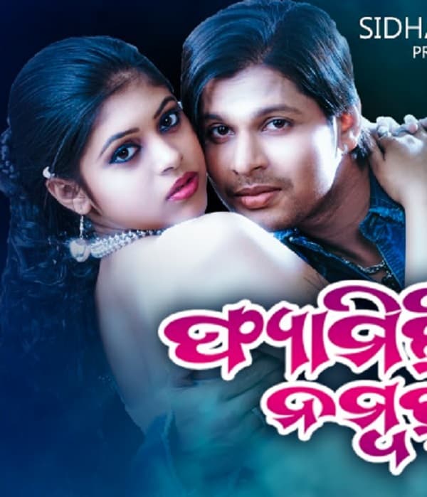Family No 1 (2011) poster