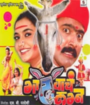 Gadhvache Lagna (2007) poster