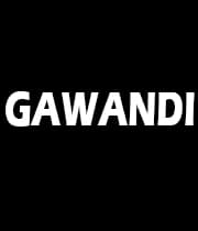 Gawandi (1941) poster