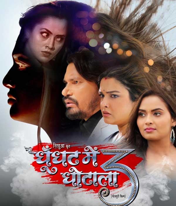 Ghoonghat Mein Ghotala 3 (2024) poster