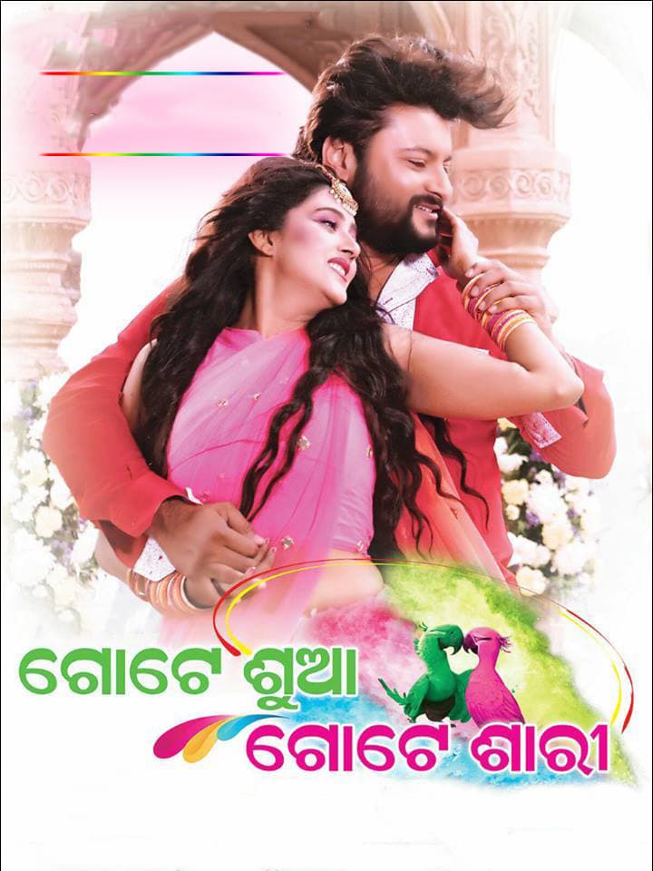 Gote Sua Gote Sari (2016) poster