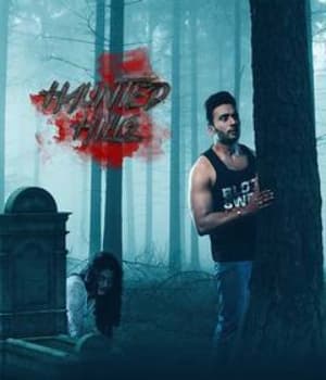 Haunted Hills (2020) poster