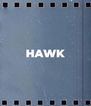 Hawk (1931) poster