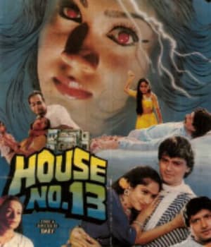 House No 13 (1991) poster