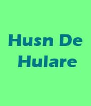 Husn De Hulare (1987) poster