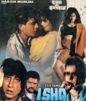 Ishq Aur Inteqaam (1993) poster