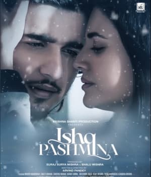 Ishq Pashmina (2022) poster