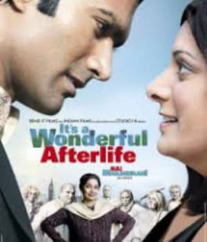 It's a Wonderful Afterlife (2010) poster