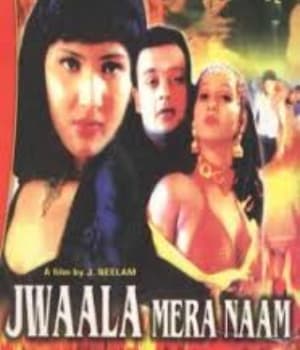 Jwala Mere Naam (2004) poster