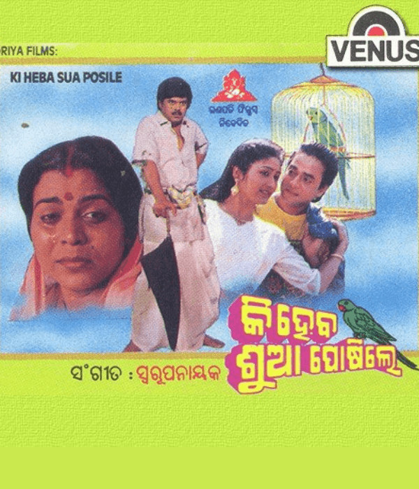 Ki Heba Sua Posile (1991) poster
